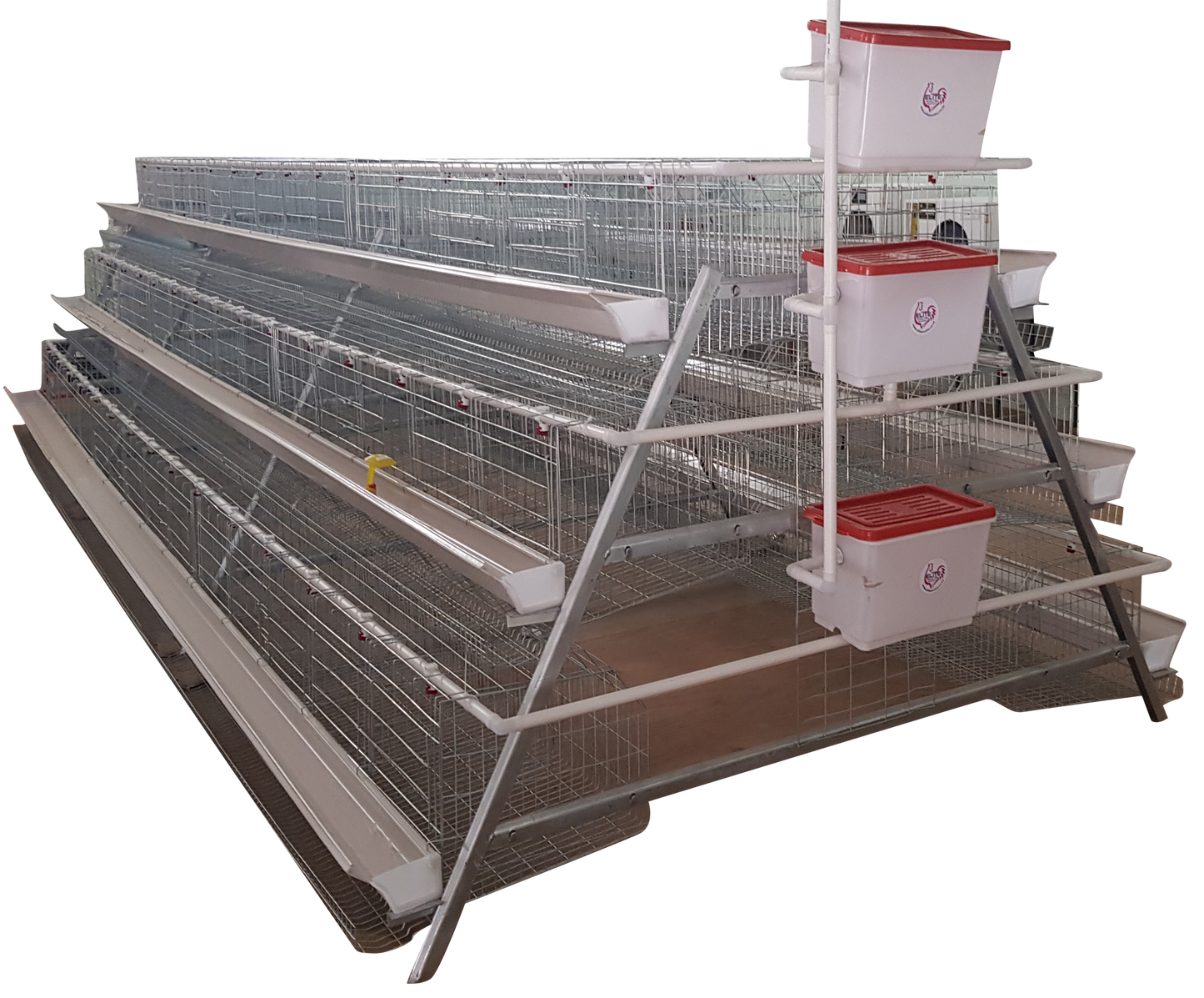 Battery Cage System for Layers