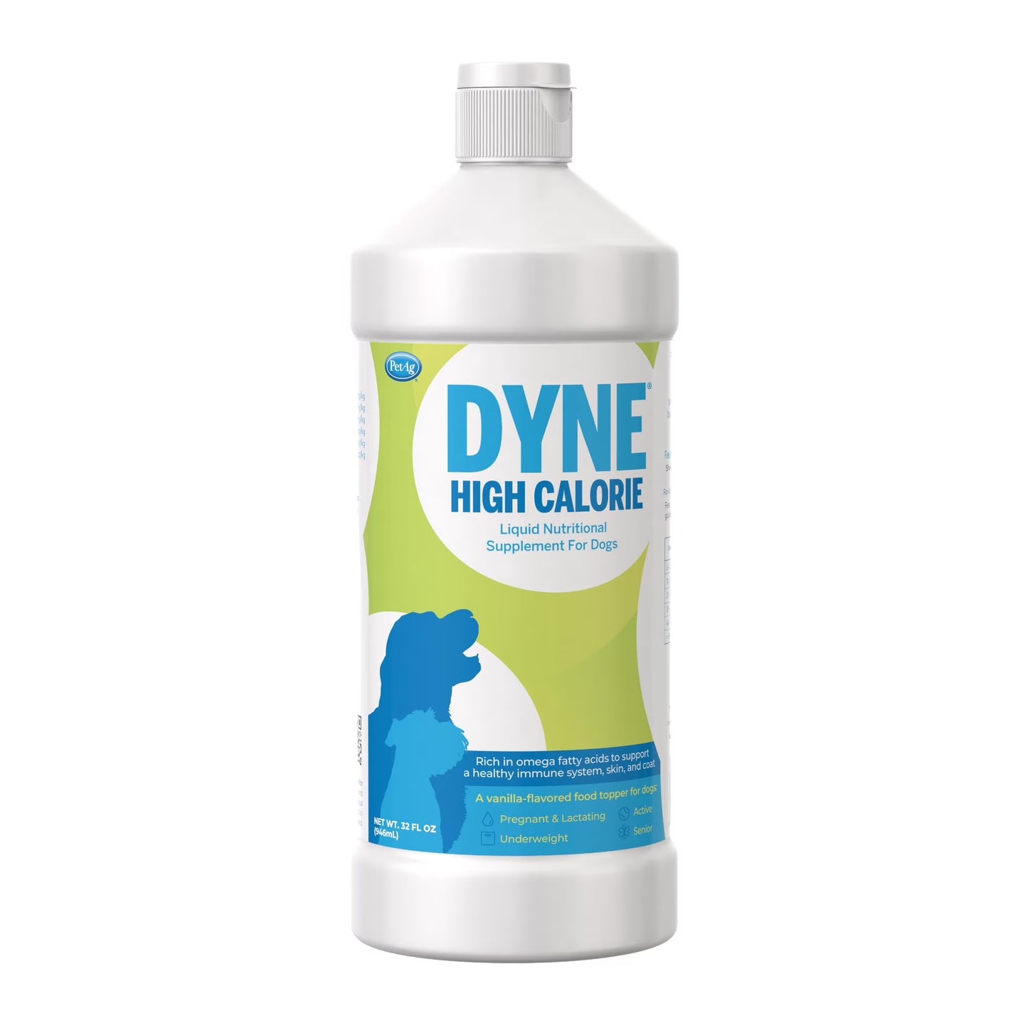 Dyne