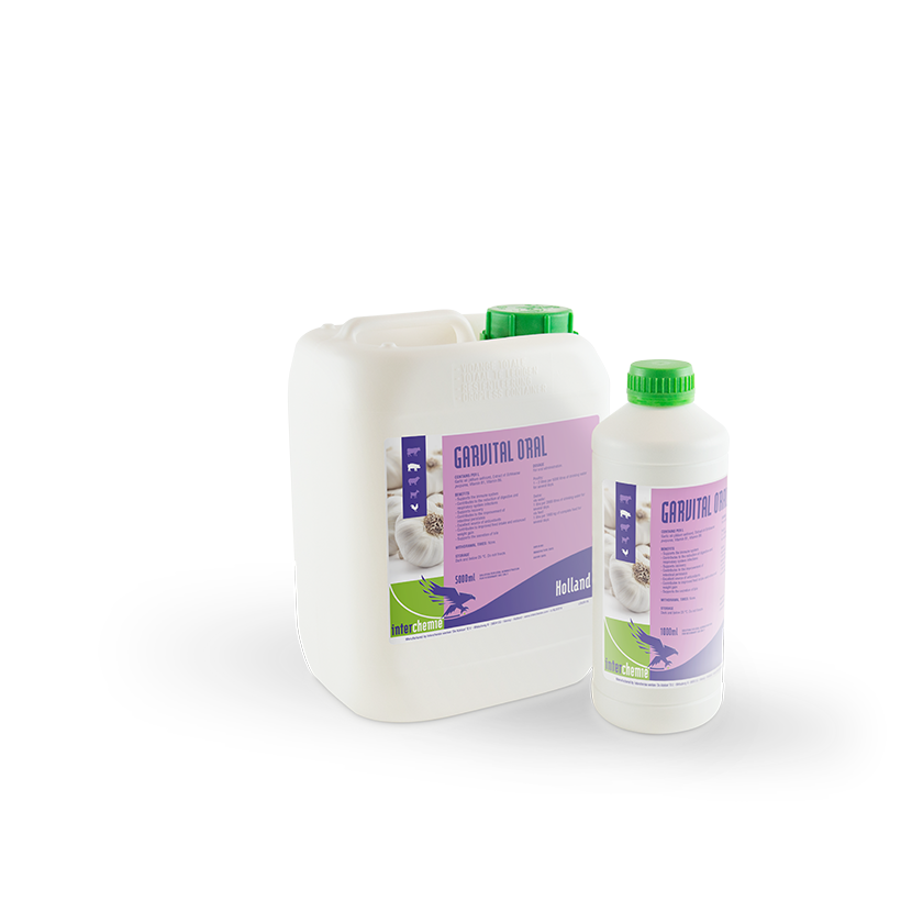 Garvital Oral Solution