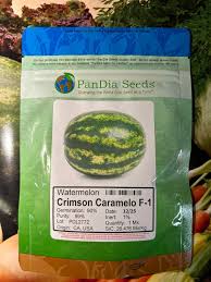 Watermelon Crimson Sweet