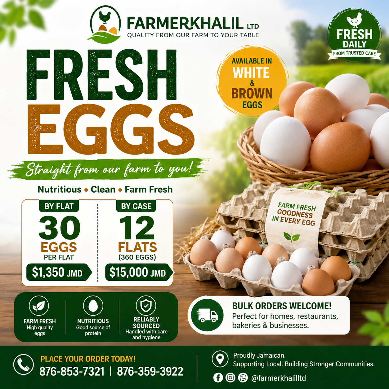 Eggs