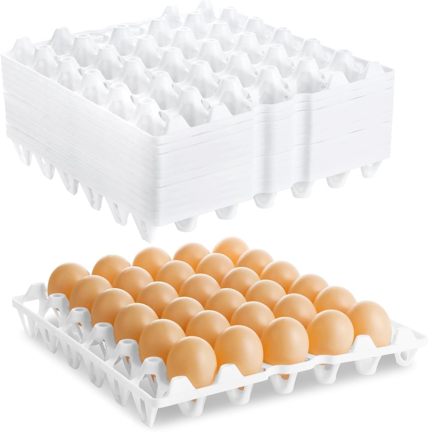 Plastic Egg Tray