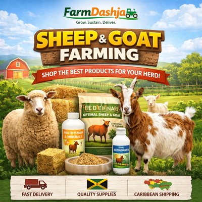 GOAT SHEEP & CATTLE