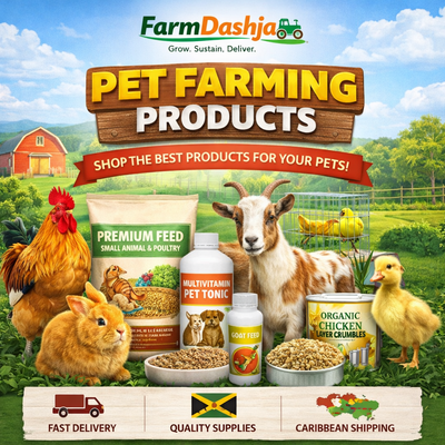 PET ESSENTIALS
