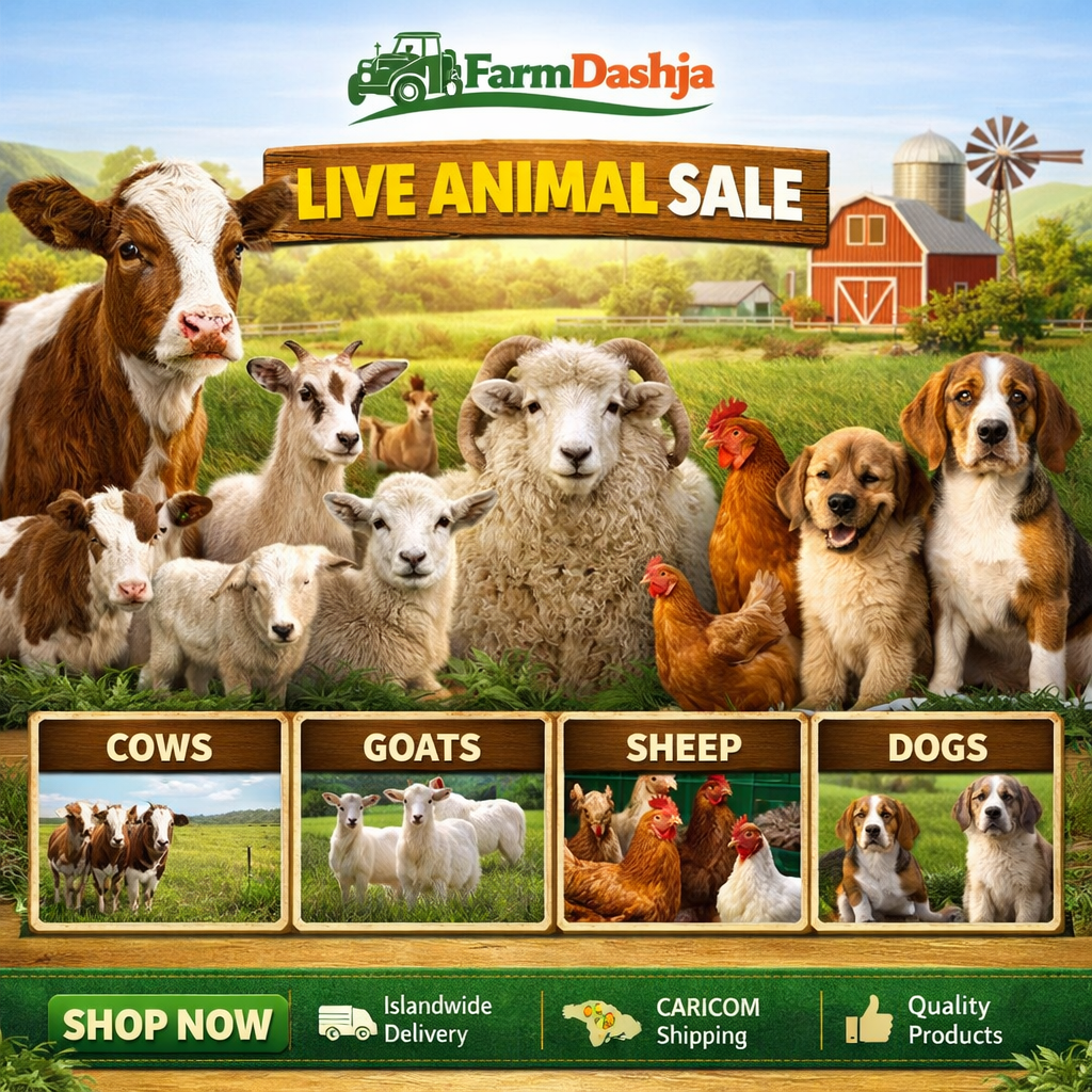 LIVE ANIMALS