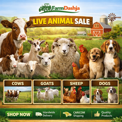 LIVE ANIMALS