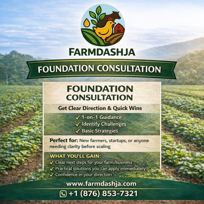 CONSULTATION SERVICE