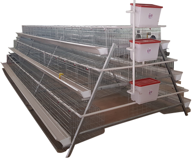 Battery Cage System for Layers