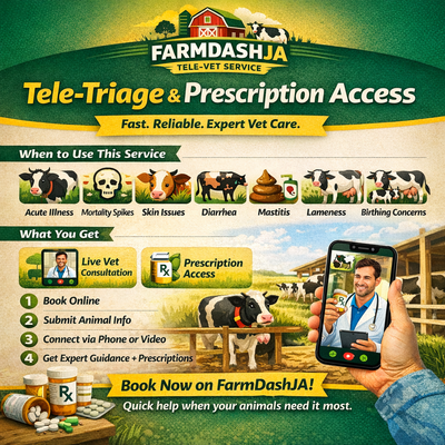Quick Vet Tele-Triage