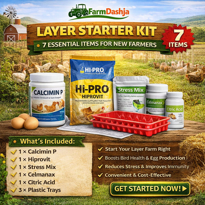 Layer Starter Kit