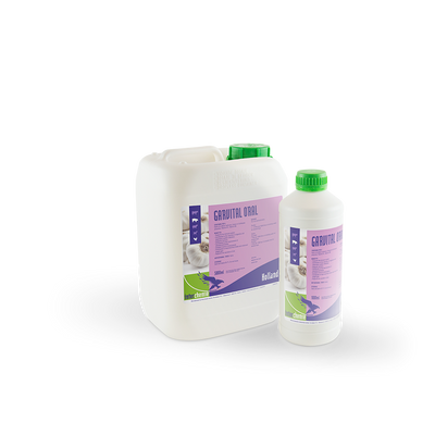 Garvital Oral Solution