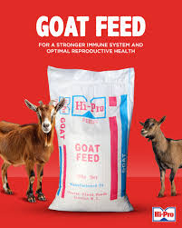 Goat Feed