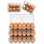 Egg Tray-6 Cell