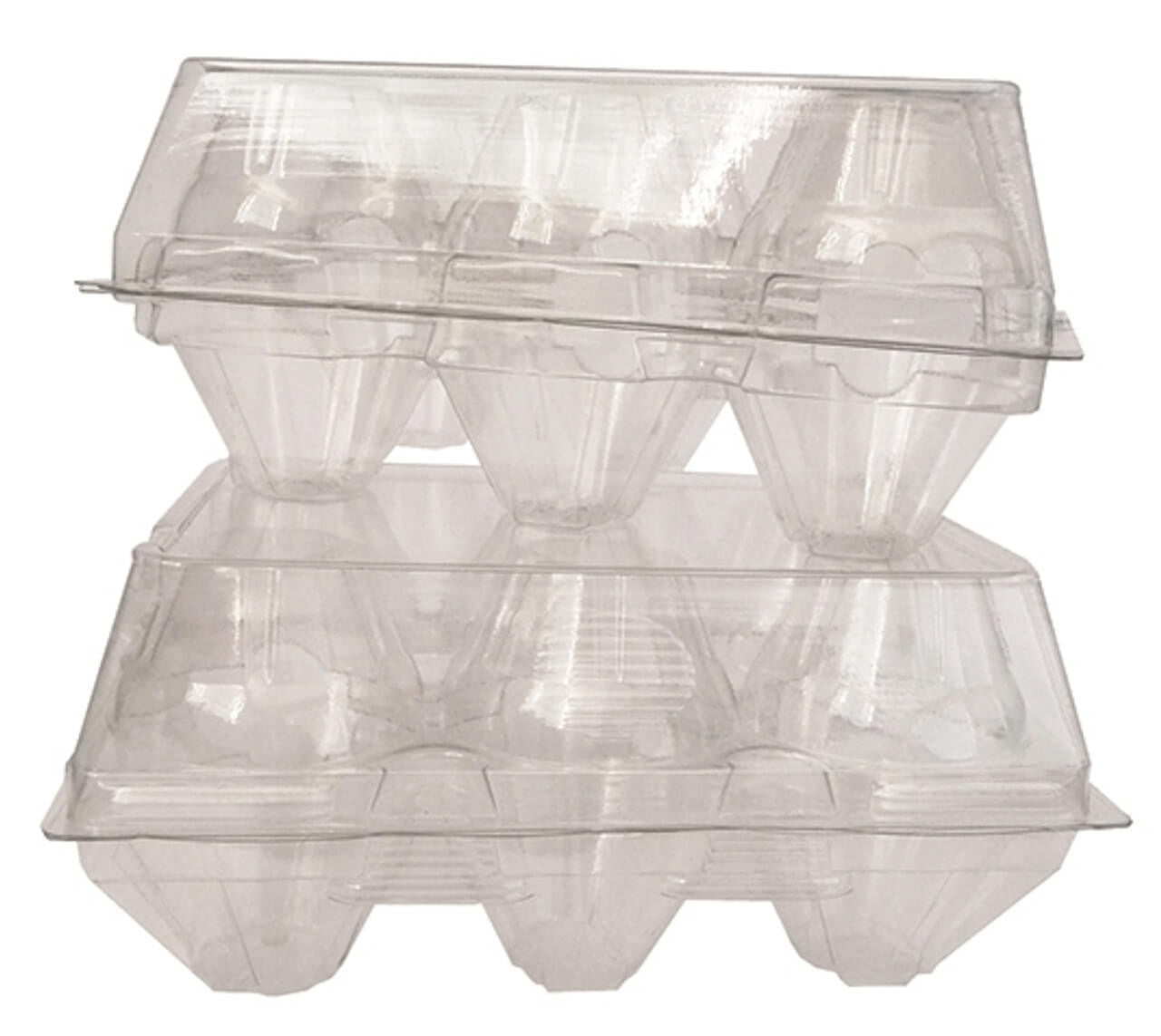 Egg Tray-6 Cell