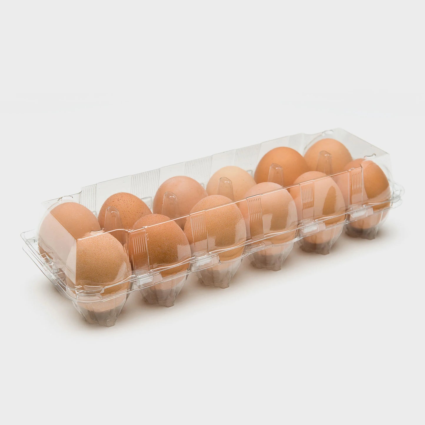 Egg Tray- 12 Cell