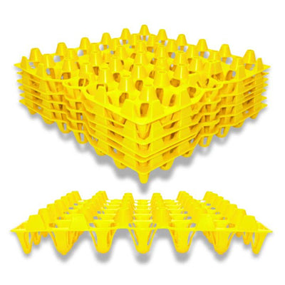 Plastic Egg Tray