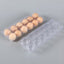 Egg Tray- 12 Cell