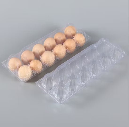 Egg Tray- 12 Cell