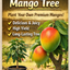 Mango Tree