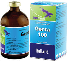 Genta-100  10% injectabe