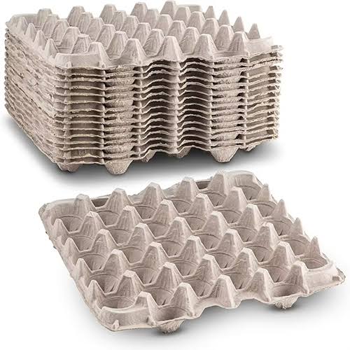 Paper Egg Tray