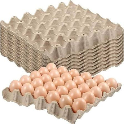 Paper Egg Tray