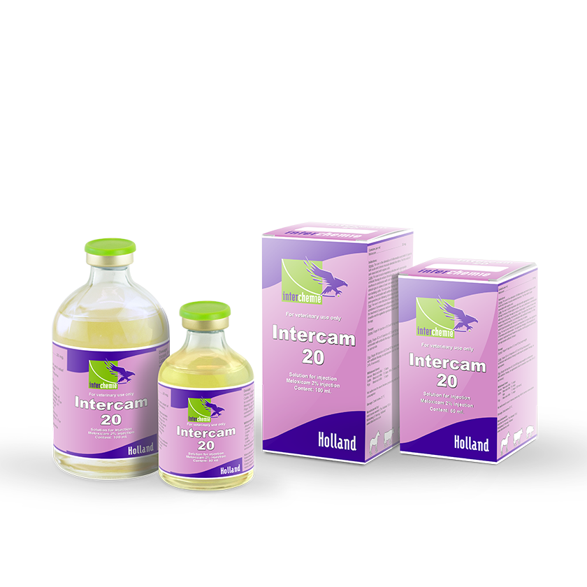 Intercam-20