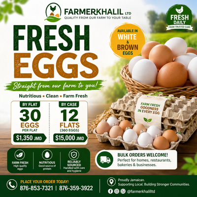 Eggs