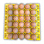 Plastic Egg Tray
